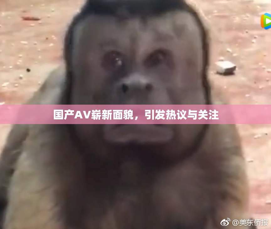 国产AV崭新面貌，引发热议与关注
