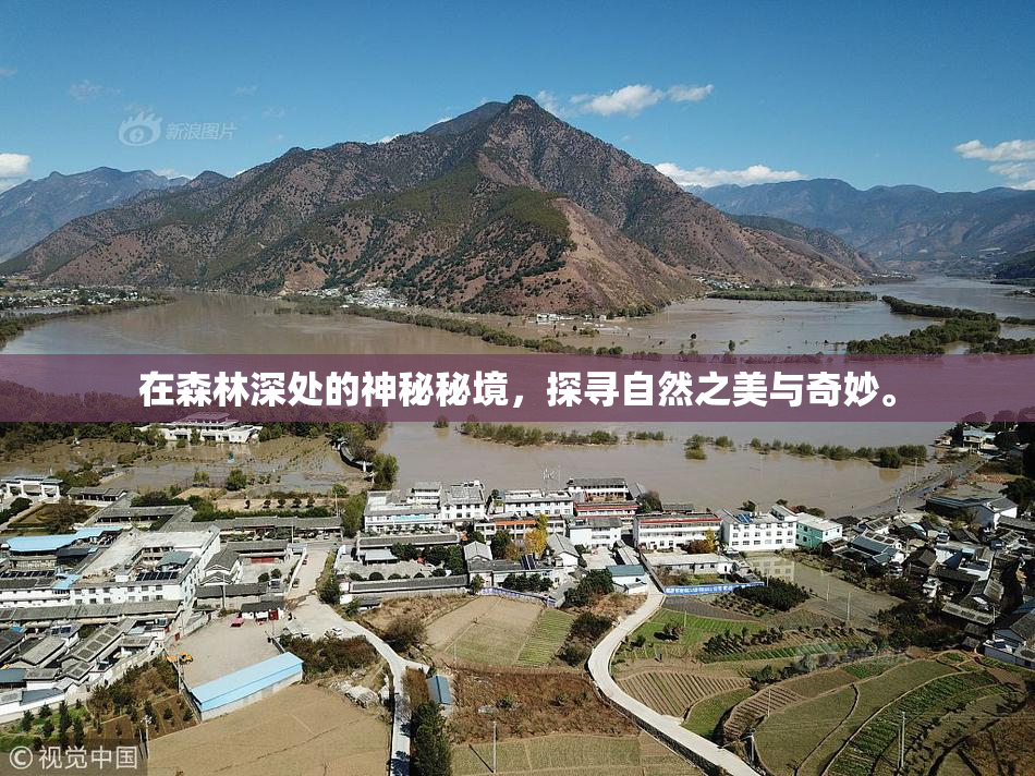 在森林深处的神秘秘境，探寻自然之美与奇妙。