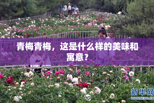 青梅青梅，这是什么样的美味和寓意？