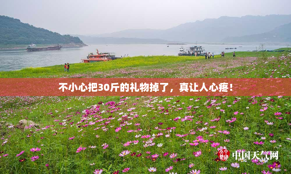 不小心把30斤的礼物掉了，真让人心疼！
