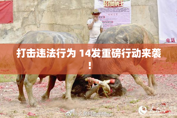 打击违法行为 14发重磅行动来袭！