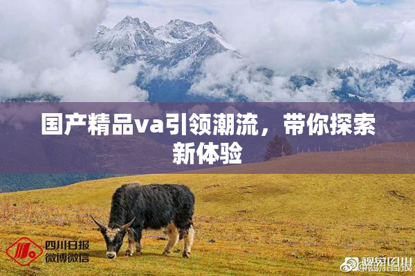 国产精品va引领潮流，带你探索新体验