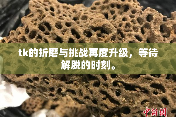 tk的折磨与挑战再度升级，等待解脱的时刻。