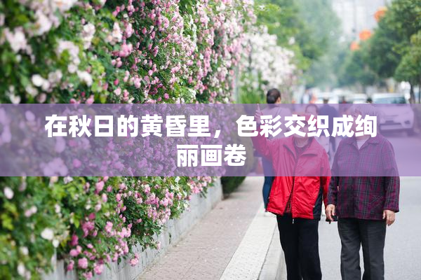 在秋日的黄昏里，色彩交织成绚丽画卷