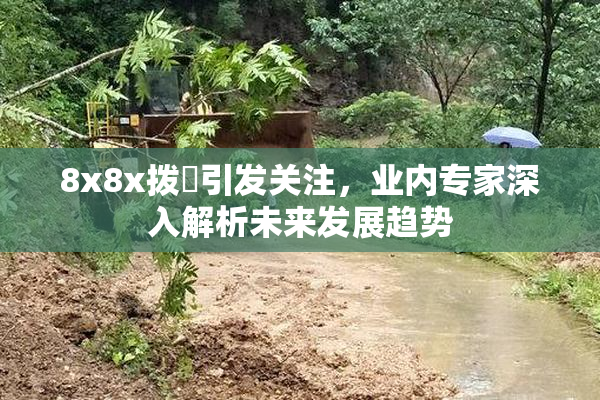8x8x拨牐引发关注，业内专家深入解析未来发展趋势