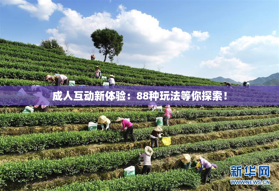 成人互动新体验：88种玩法等你探索！