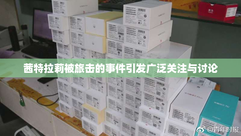 茜特拉莉被旅击的事件引发广泛关注与讨论