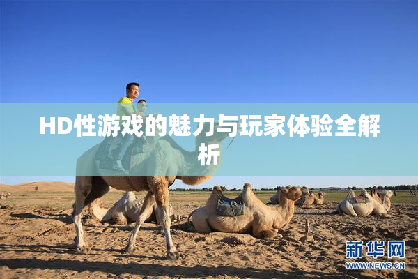 HD性游戏的魅力与玩家体验全解析