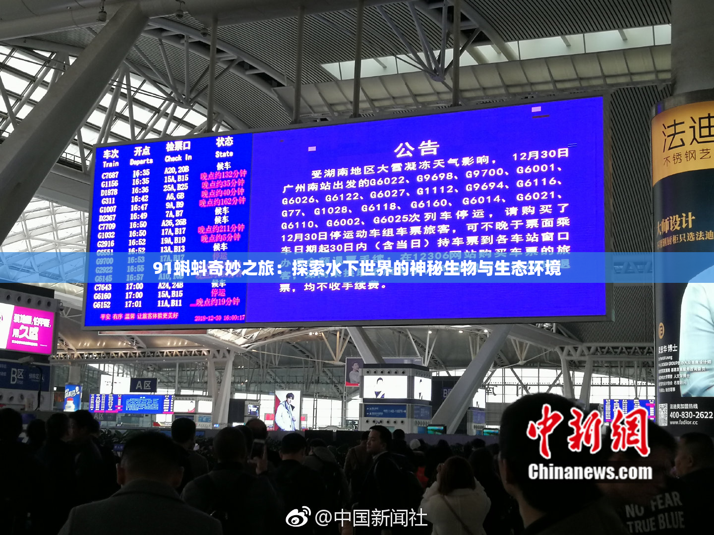 91蝌蚪奇妙之旅：探索水下世界的神秘生物与生态环境