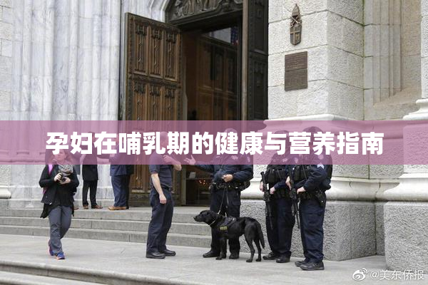孕妇在哺乳期的健康与营养指南