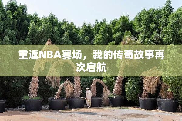 重返NBA赛场，我的传奇故事再次启航