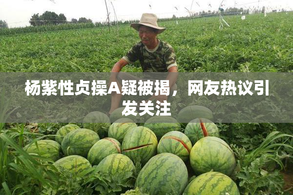 杨紫性贞操A疑被揭，网友热议引发关注