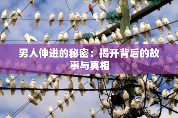 男人伸进的秘密：揭开背后的故事与真相