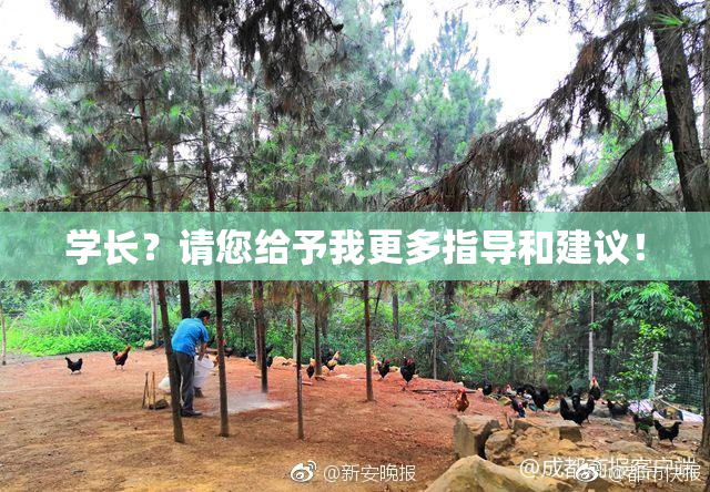 学长？请您给予我更多指导和建议！