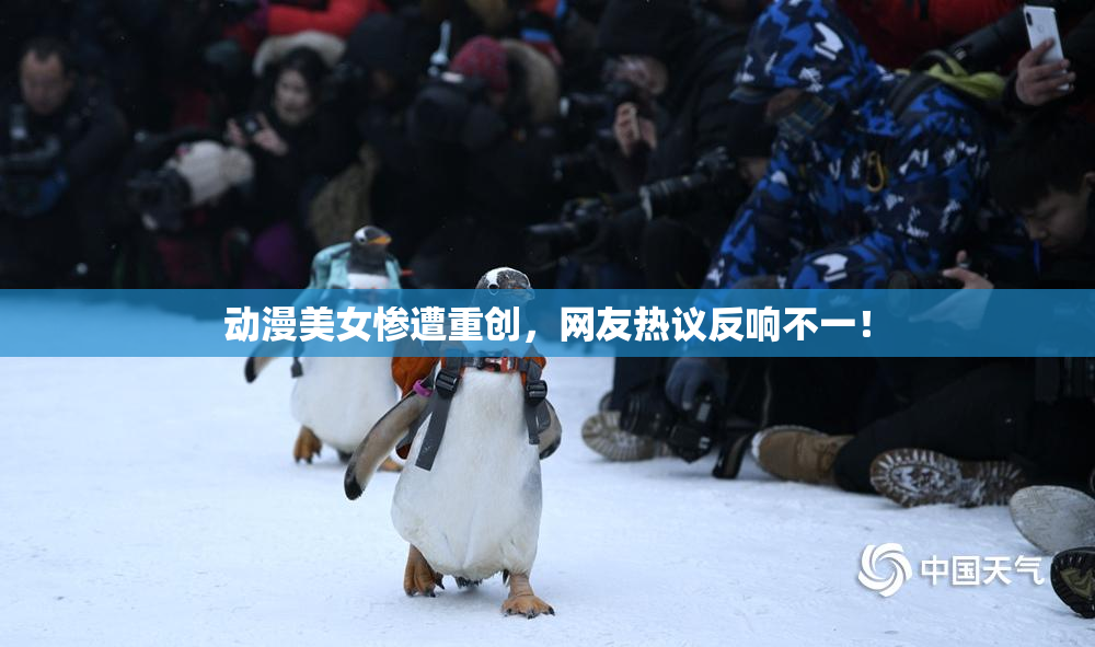 动漫美女惨遭重创，网友热议反响不一！
