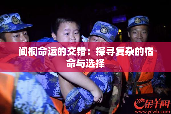 间桐命运的交错：探寻复杂的宿命与选择