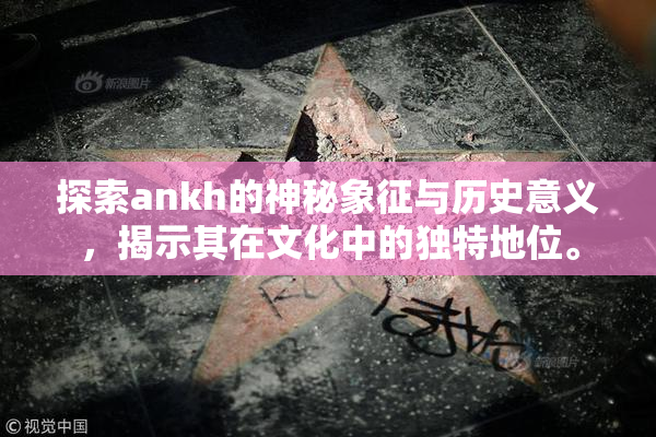 探索ankh的神秘象征与历史意义，揭示其在文化中的独特地位。