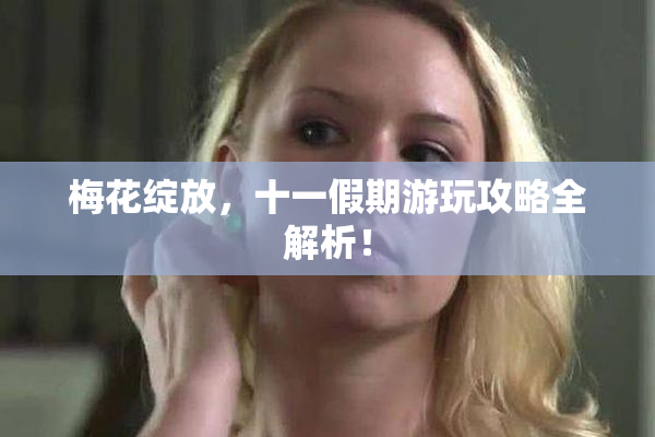 梅花绽放，十一假期游玩攻略全解析！
