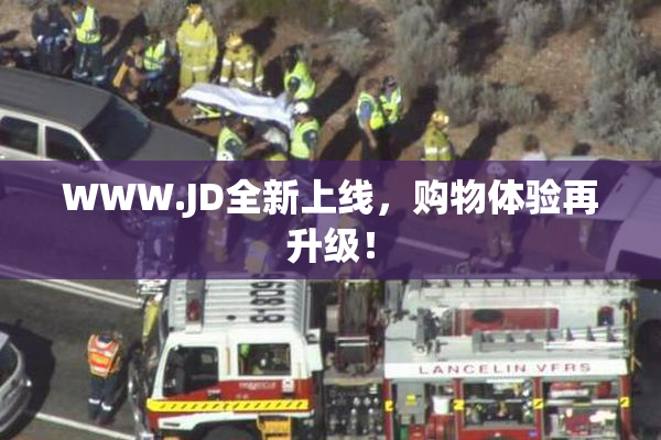 WWW.JD全新上线，购物体验再升级！