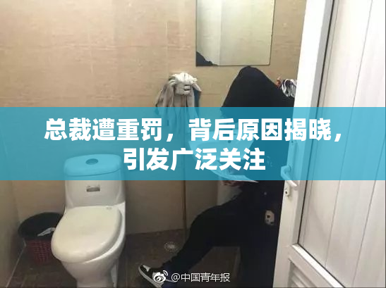 总裁遭重罚，背后原因揭晓，引发广泛关注