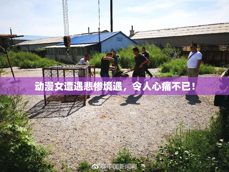 动漫女遭遇悲惨境遇，令人心痛不已！