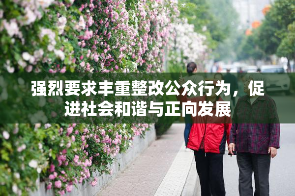强烈要求丰重整改公众行为，促进社会和谐与正向发展