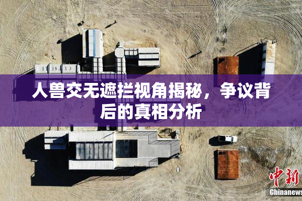 人兽交无遮拦视角揭秘，争议背后的真相分析