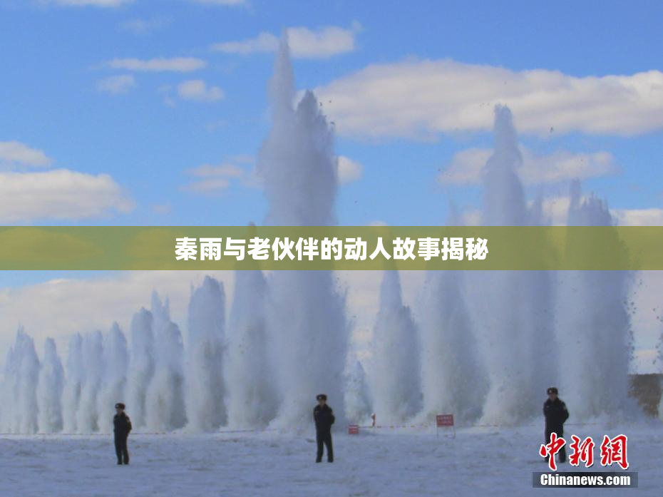 秦雨与老伙伴的动人故事揭秘