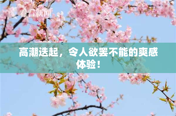 高潮迭起，令人欲罢不能的爽感体验！