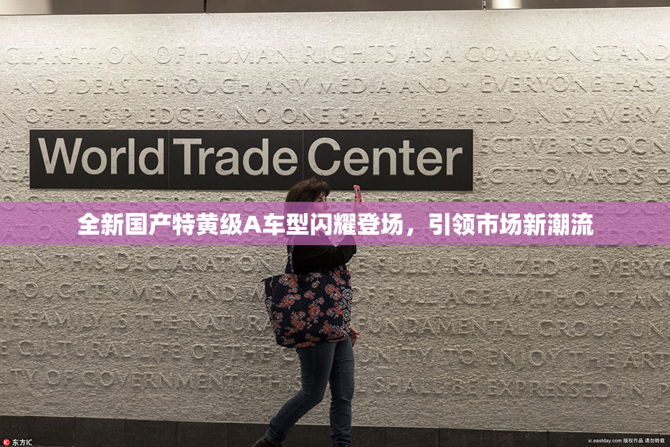 全新国产特黄级A车型闪耀登场，引领市场新潮流