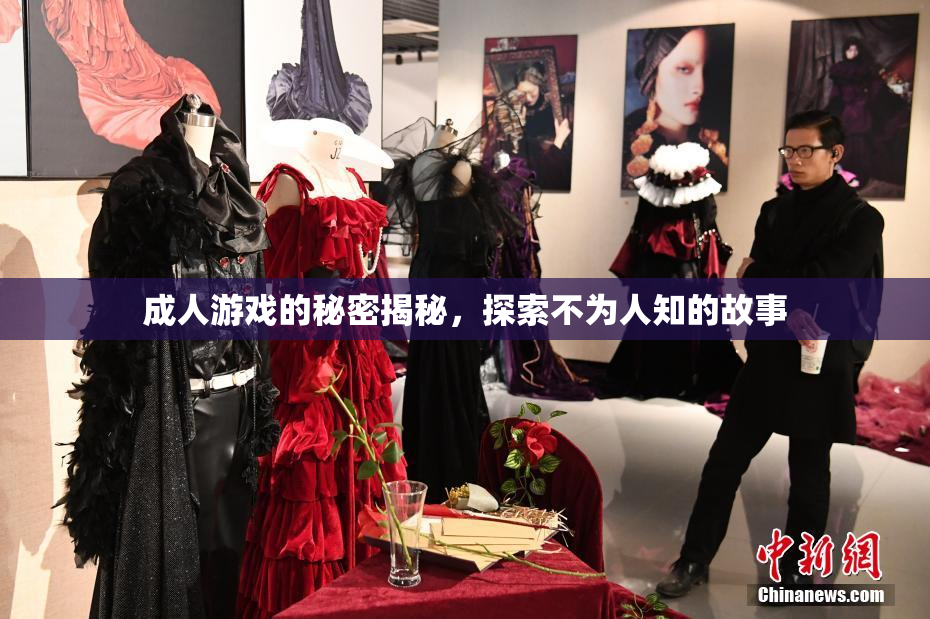 成人游戏的秘密揭秘，探索不为人知的故事