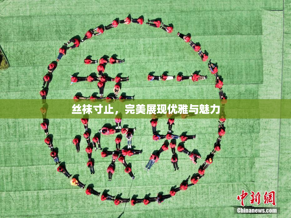 丝袜寸止，完美展现优雅与魅力