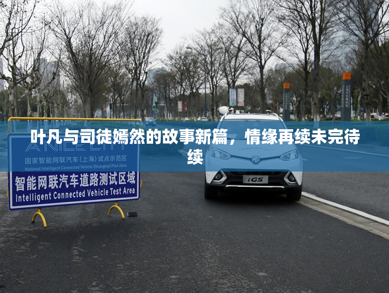 叶凡与司徒嫣然的故事新篇，情缘再续未完待续
