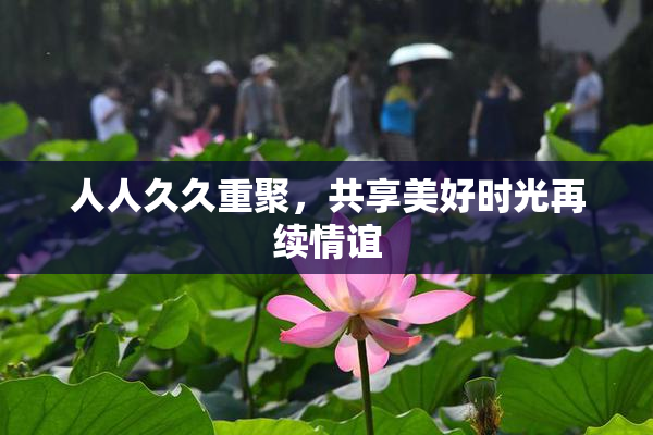 人人久久重聚，共享美好时光再续情谊