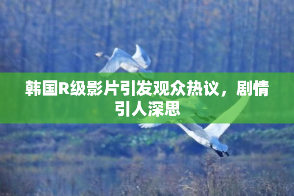 韩国R级影片引发观众热议，剧情引人深思