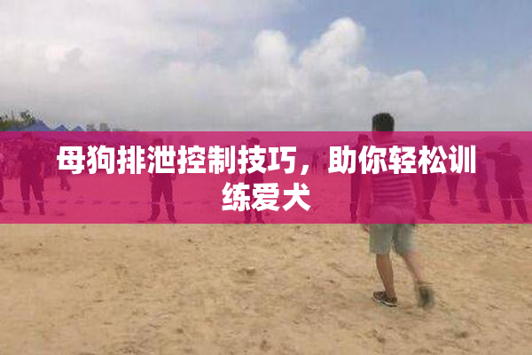 母狗排泄控制技巧，助你轻松训练爱犬