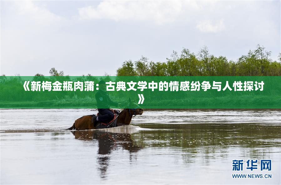 《新梅金瓶肉蒲：古典文学中的情感纷争与人性探讨》