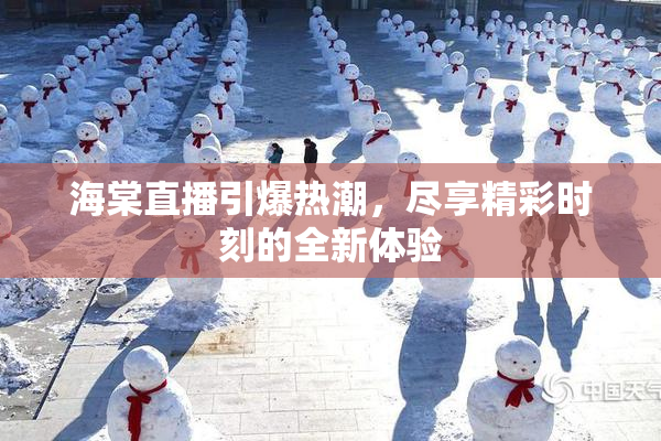 海棠直播引爆热潮，尽享精彩时刻的全新体验