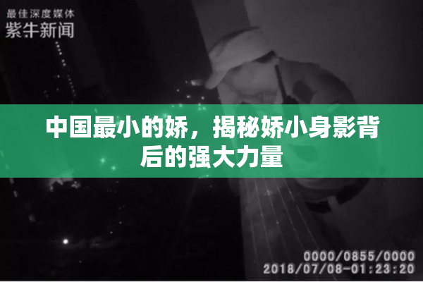 中国最小的娇，揭秘娇小身影背后的强大力量