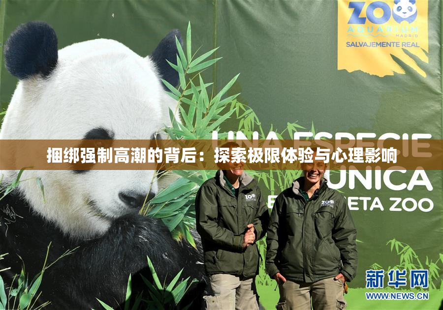 捆绑强制高潮的背后：探索极限体验与心理影响