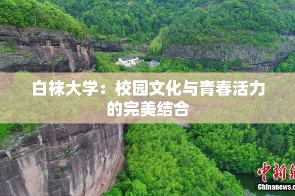白袜大学：校园文化与青春活力的完美结合