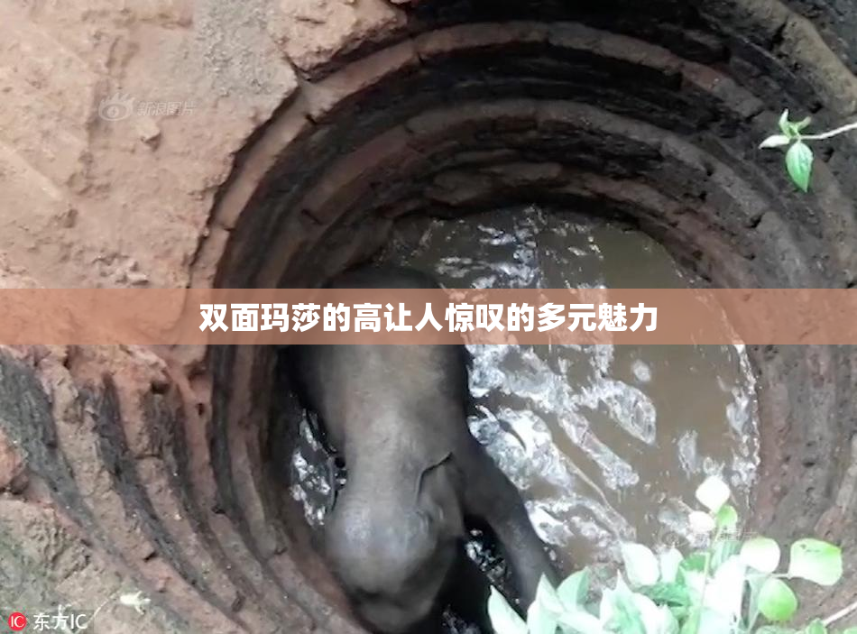 双面玛莎的高让人惊叹的多元魅力