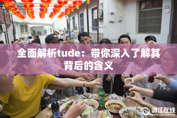 全面解析tude：带你深入了解其背后的含义
