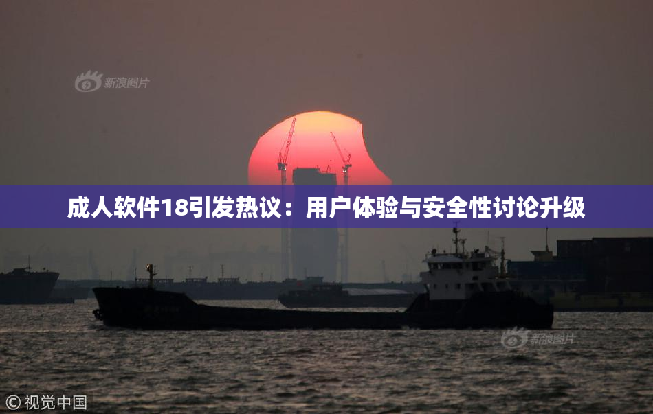 成人软件18引发热议：用户体验与安全性讨论升级