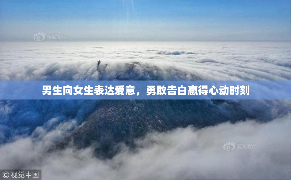 男生向女生表达爱意，勇敢告白赢得心动时刻