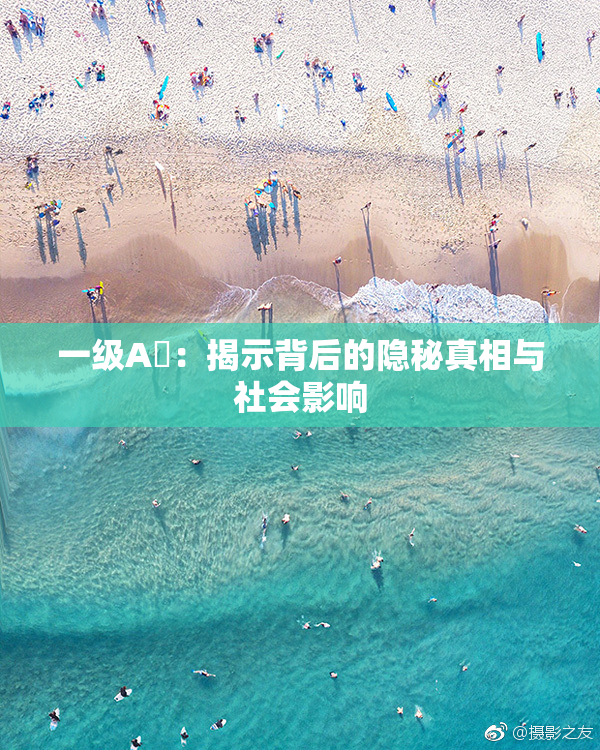 一级A婬：揭示背后的隐秘真相与社会影响