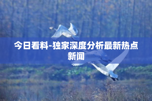 今日看料-独家深度分析最新热点新闻