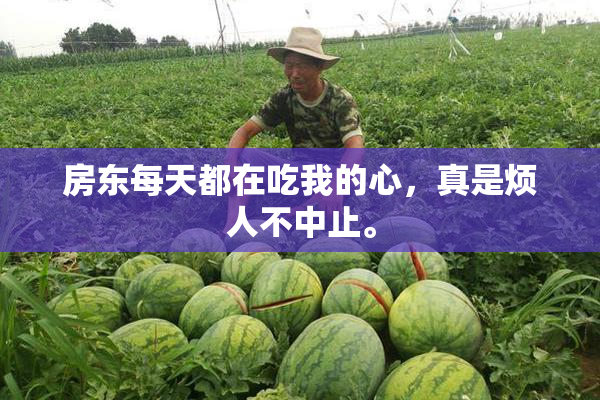 房东每天都在吃我的心，真是烦人不中止。