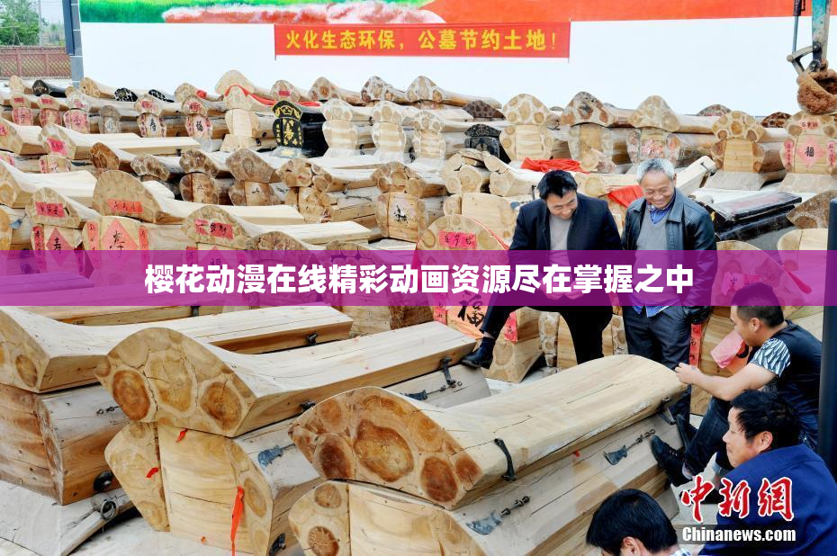 樱花动漫在线精彩动画资源尽在掌握之中