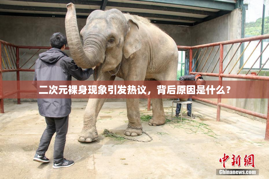 二次元裸身现象引发热议，背后原因是什么？